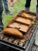 【森悅蜂園】蜂蜜