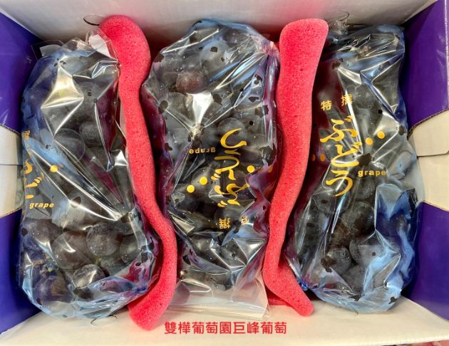 【双樺酒莊】巨峰葡萄