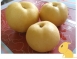 【十一果園】高接梨
