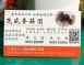 【茂盛香菇園】珊瑚菇