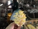 【茂盛香菇園】珊瑚菇