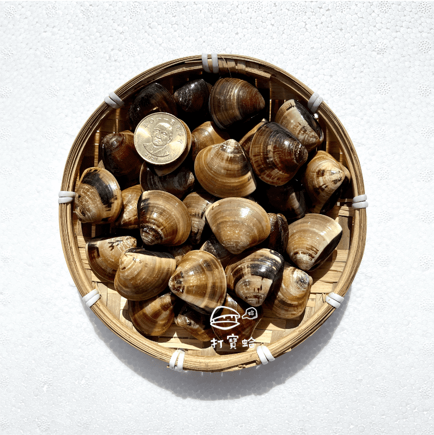 【打寶蛤】產銷履歷文蛤