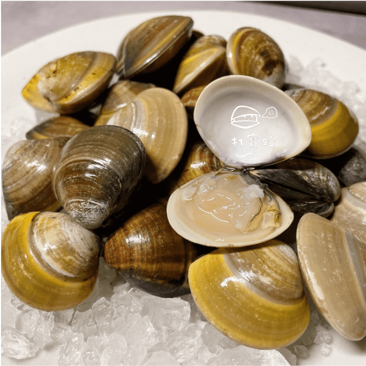 【打寶蛤】產銷履歷文蛤