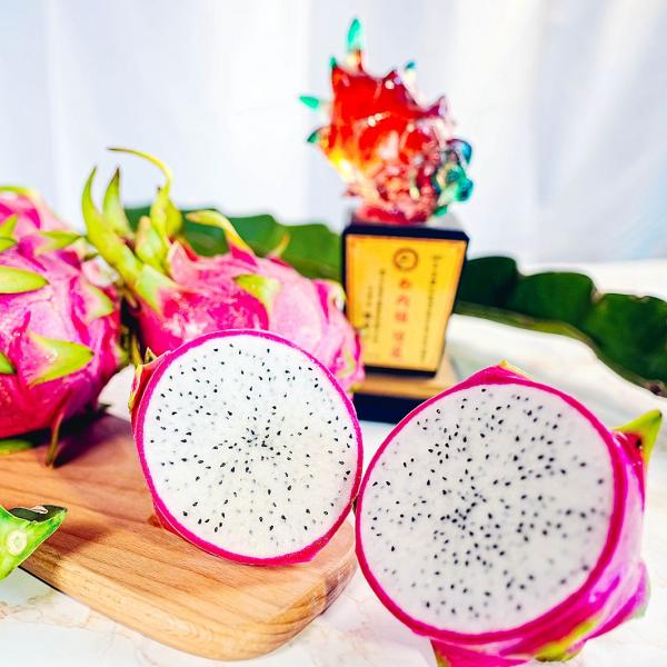 【妞妞果園】紅龍果