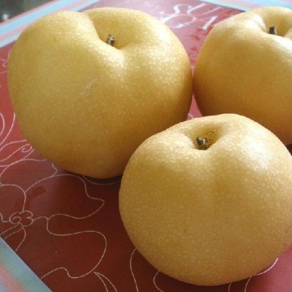 【十一果園】高接梨
