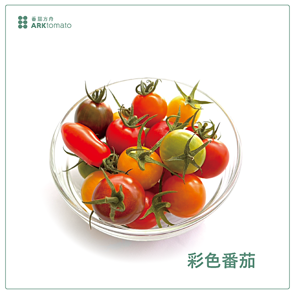【喬伊登】彩色番茄